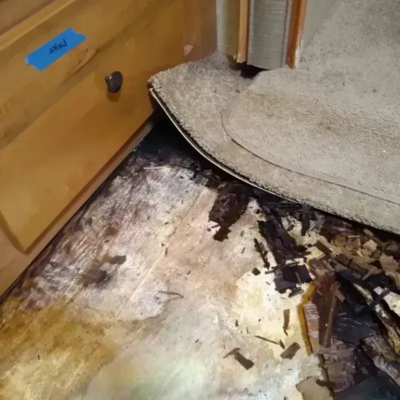 Wood Floor Water Damage in Pitkin County, CO